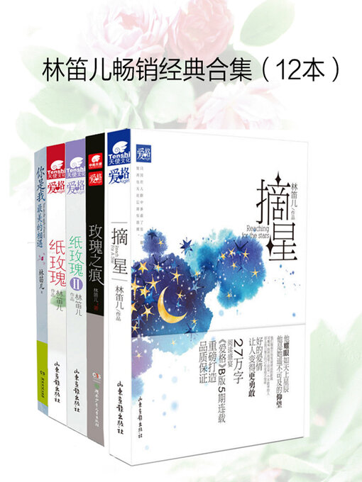 Cover image for 林笛儿畅销经典合集（12本）